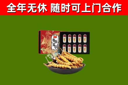 六安市烟酒回收冬虫夏草礼盒.jpg
