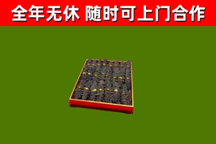 六安市回收海参